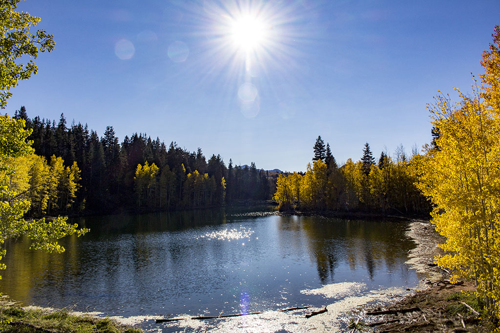 McClellan Lake in October | K. Bradley Washburn Art & Design